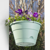 Leonard Self-Watering Hanging Basket
