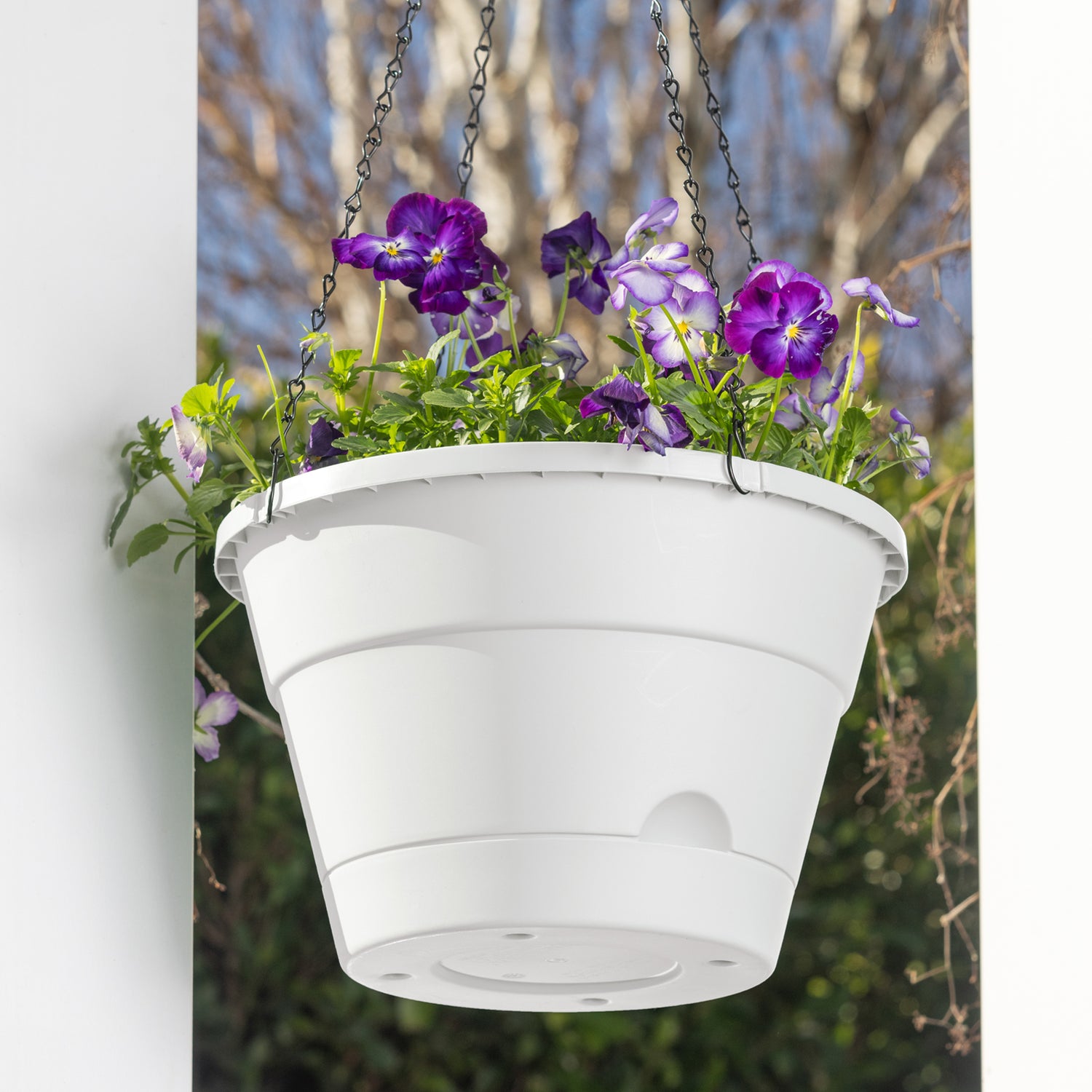 Leonard Self-Watering Hanging Basket