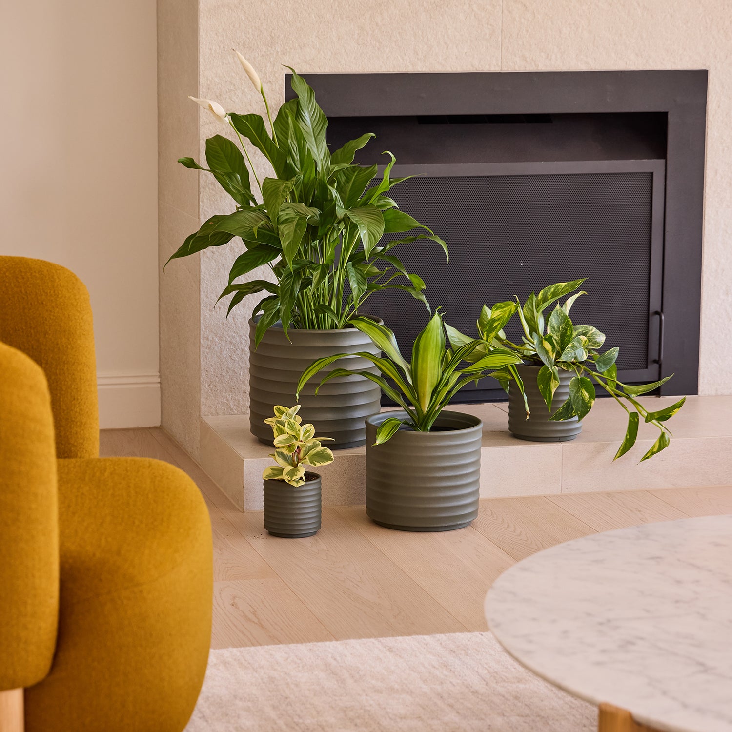 Ribbon Cylinder Pot