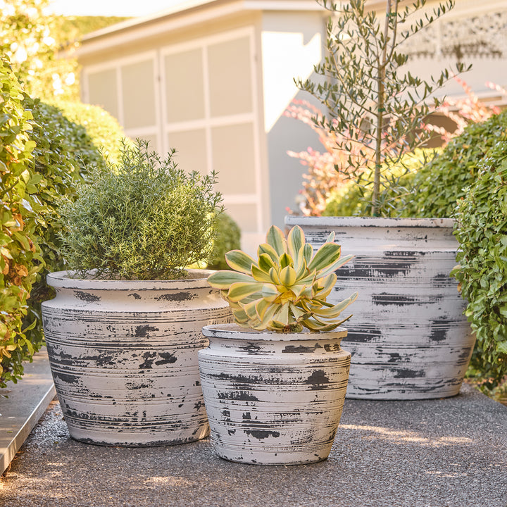 Drift Cone Pot