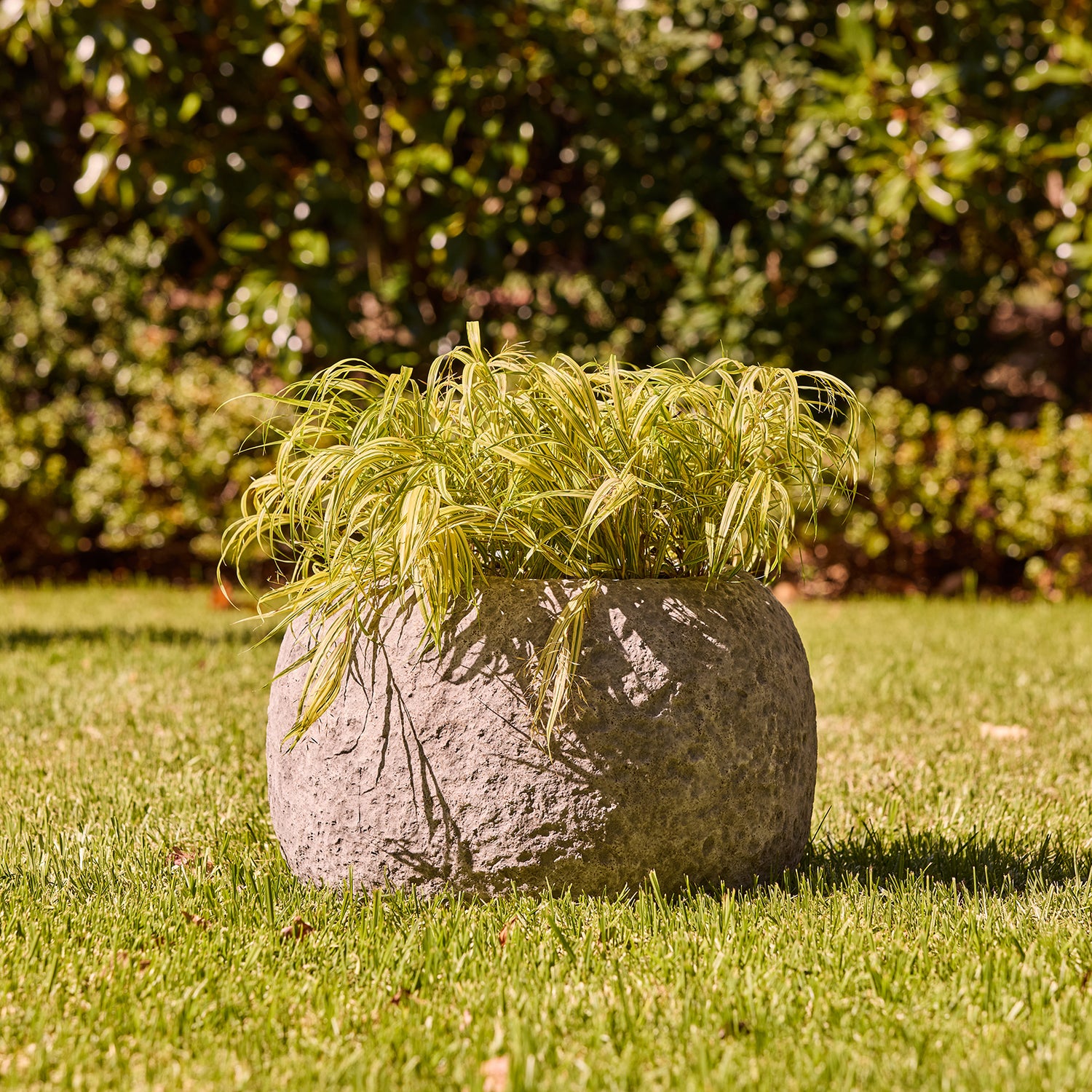 Cinder Low Round Pot