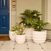 Ellipse Egg Pot