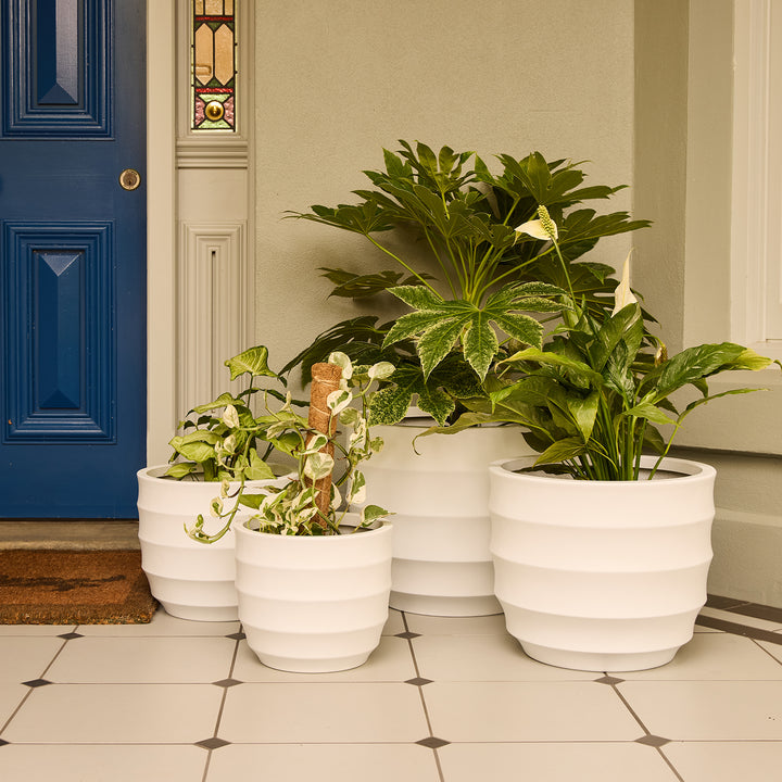 Ellipse Egg Pot