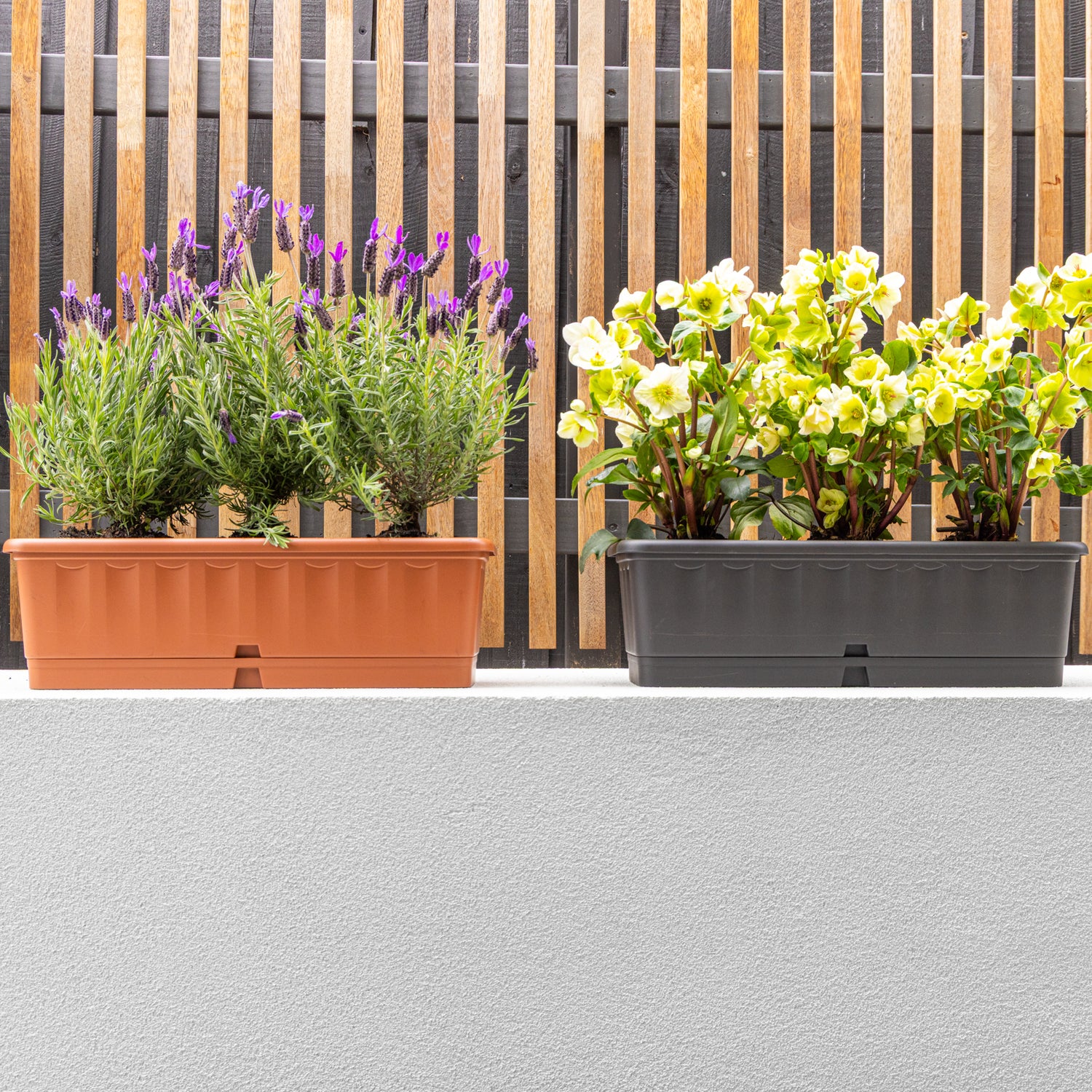 Lenna Self-Watering Pot