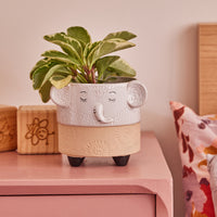 Elephant Ornamental Pot