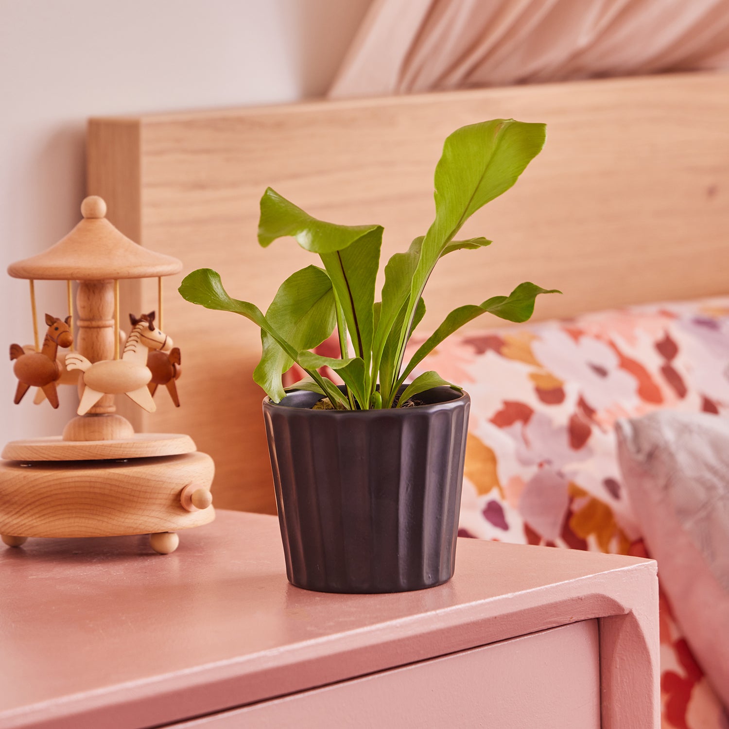 Oasis Mini Pot