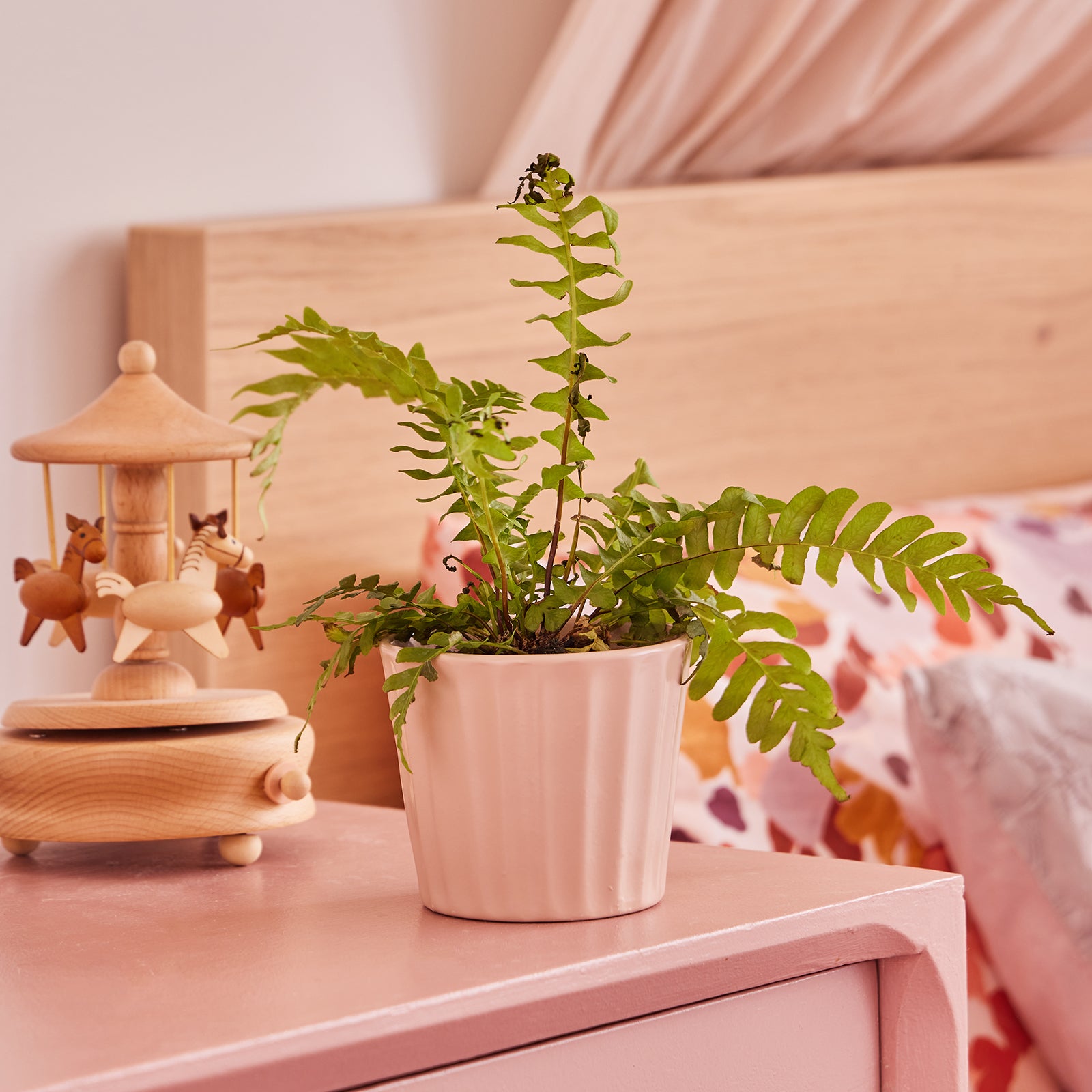 blush plant pot Oasis Small Indoor Plant Pot
