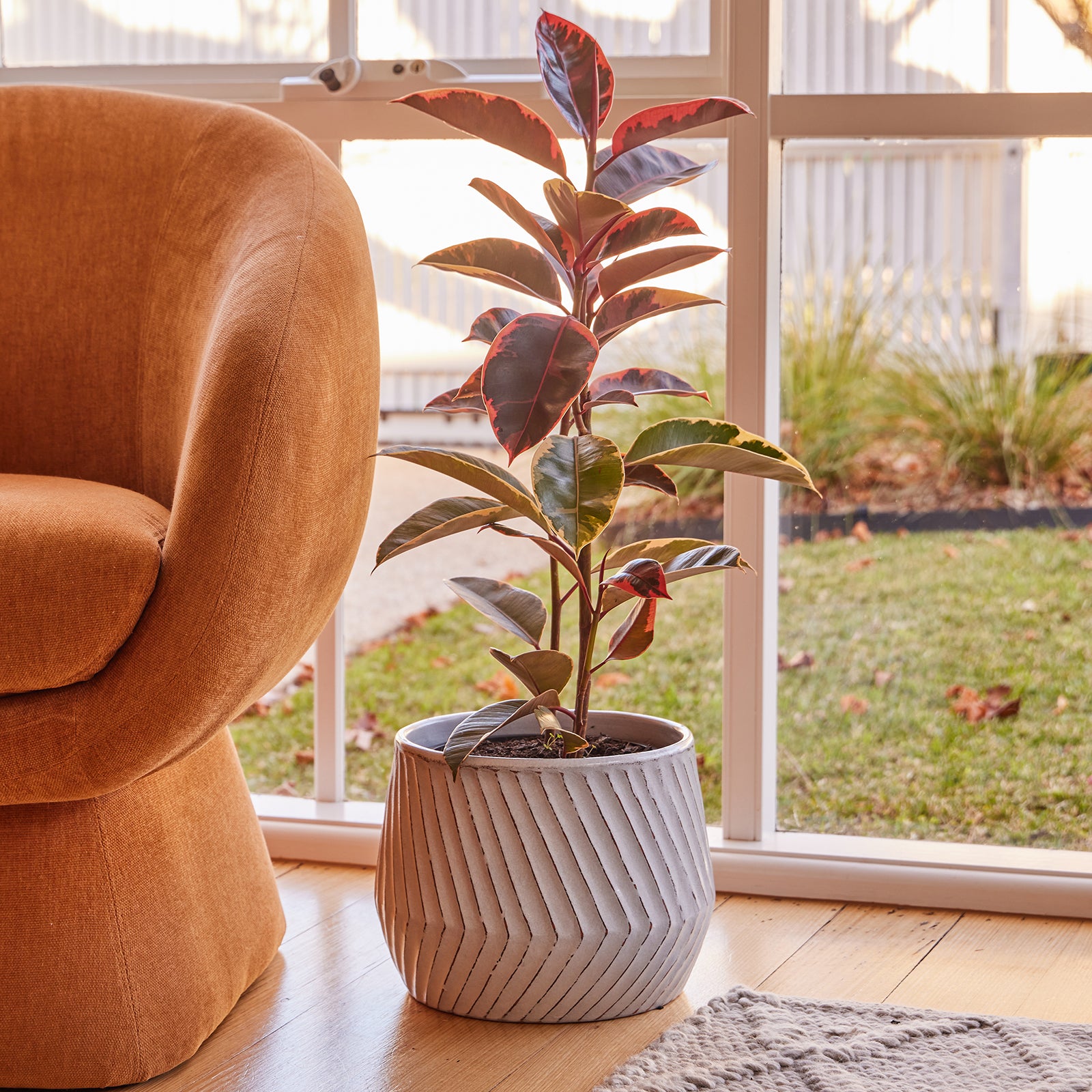 odessa pot planter Odessa Drum Pot – Northcote Pottery