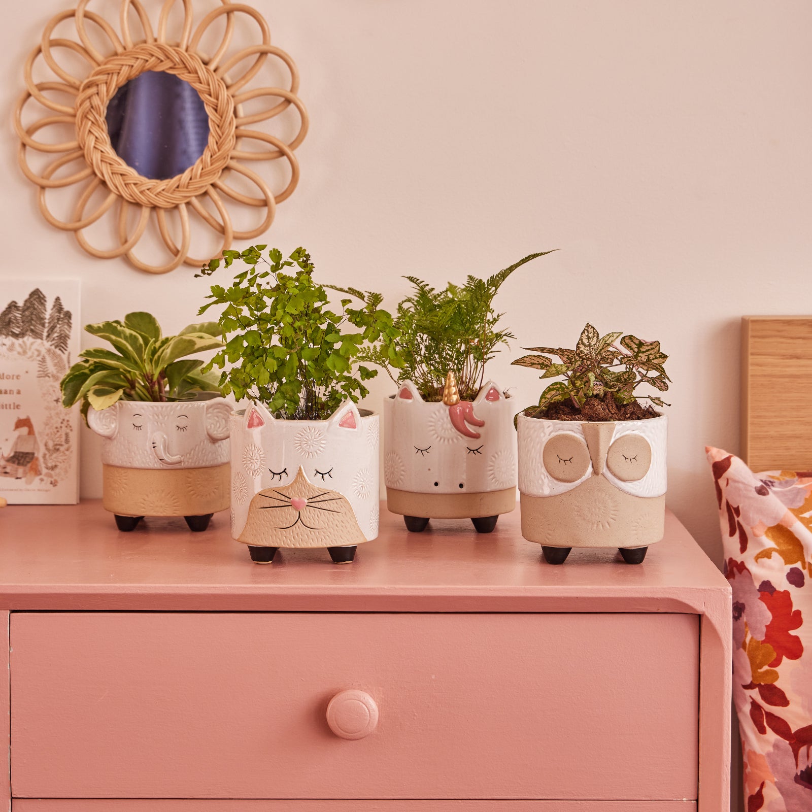 cat potted plant Cat Ornamental Pot – Northcote Pottery