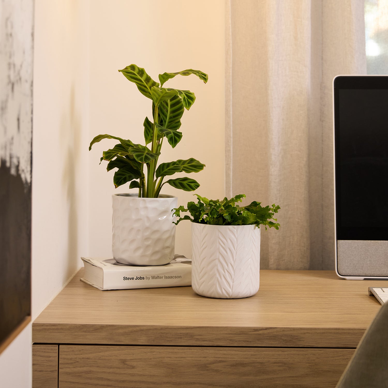 Hazel Cylinder Pot