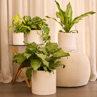 Stipple Cylinder Pot