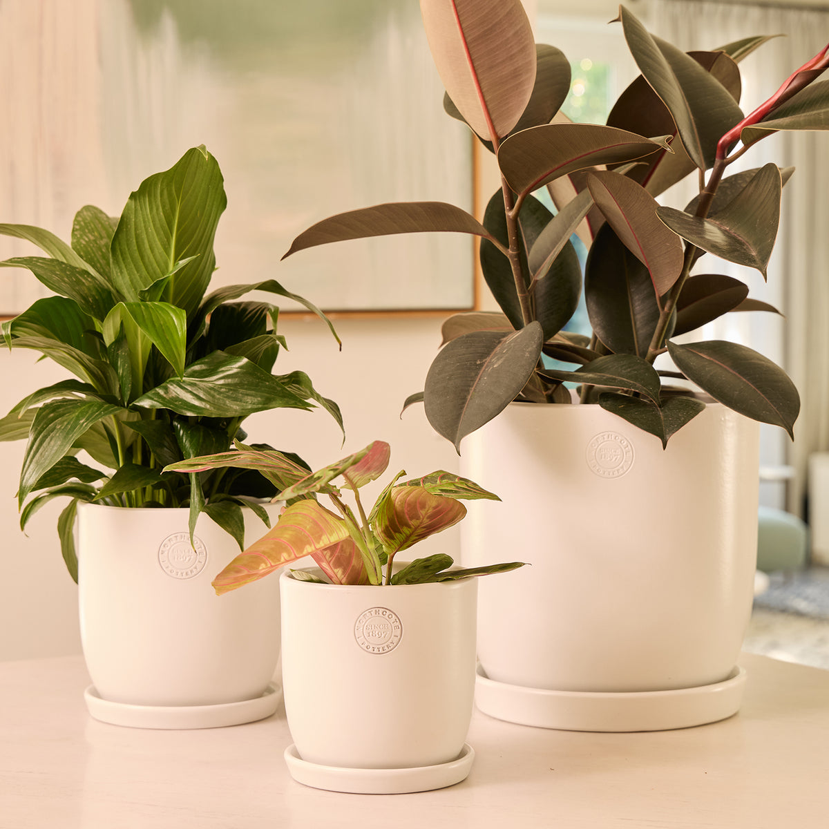briscoes plant pots Jess Egg Pot with Saucer – Northcote Pottery