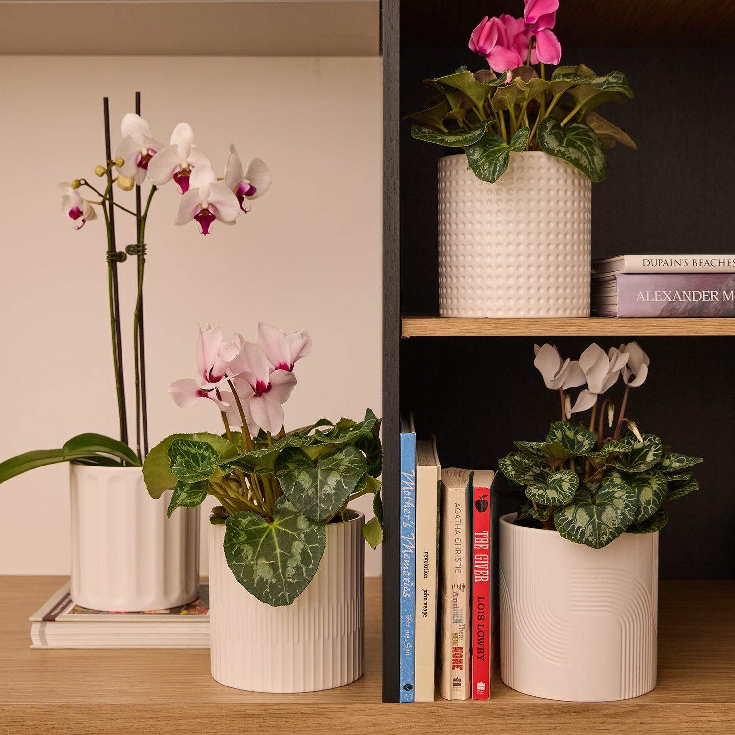 Axton Cylinder Pot