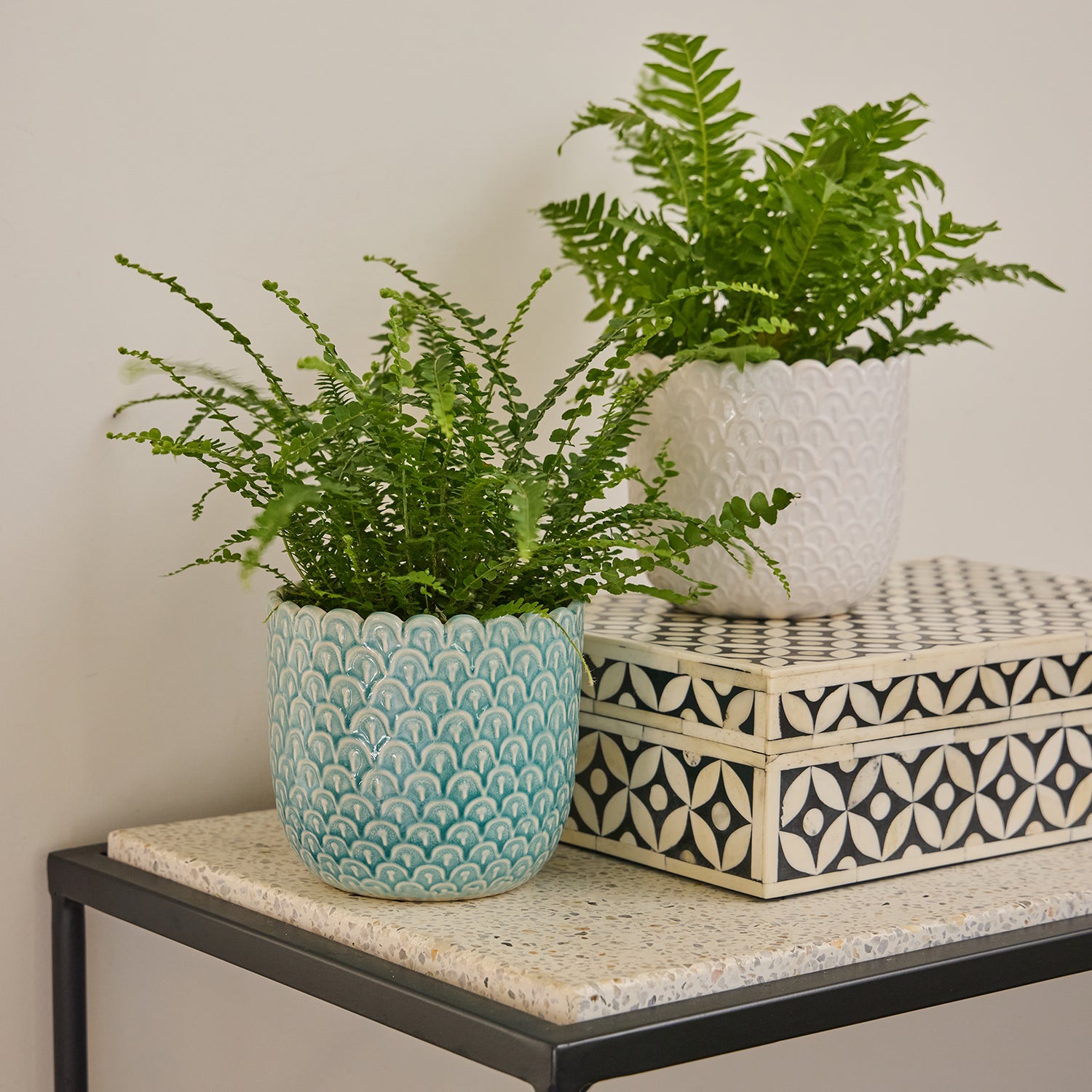 Nova Egg Pot