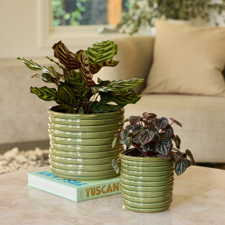 Nile Cylinder Pot