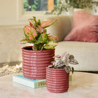 Nile Cylinder Pot