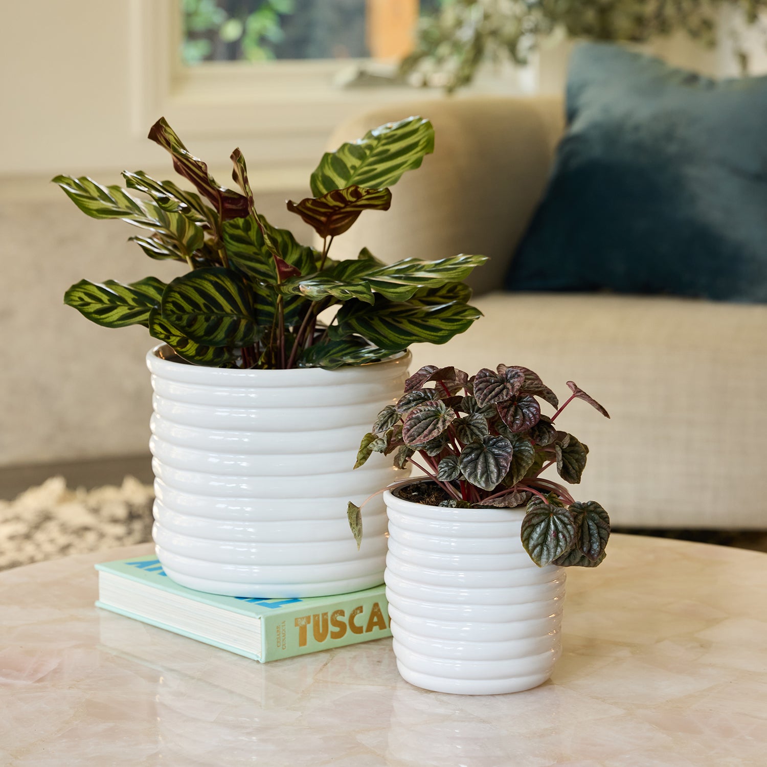 Nile Cylinder Pot