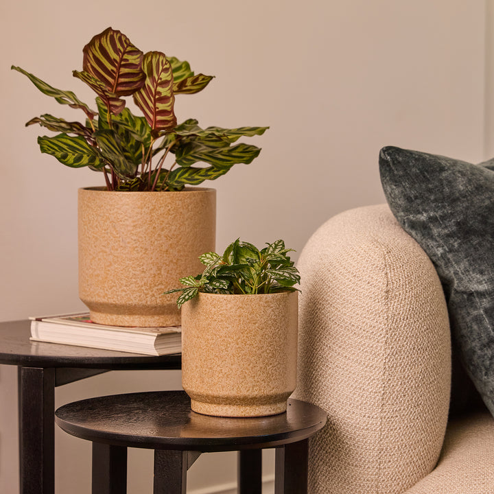 Yoko Pedestal Pot