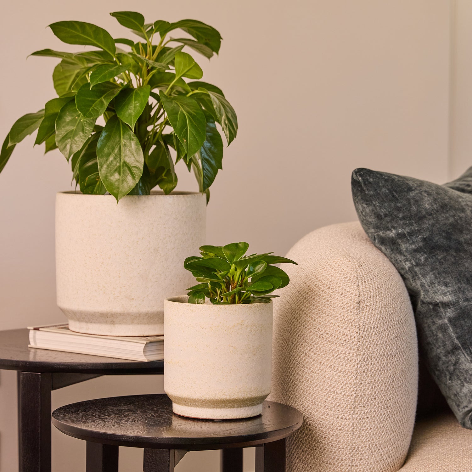 Yoko Pedestal Pot