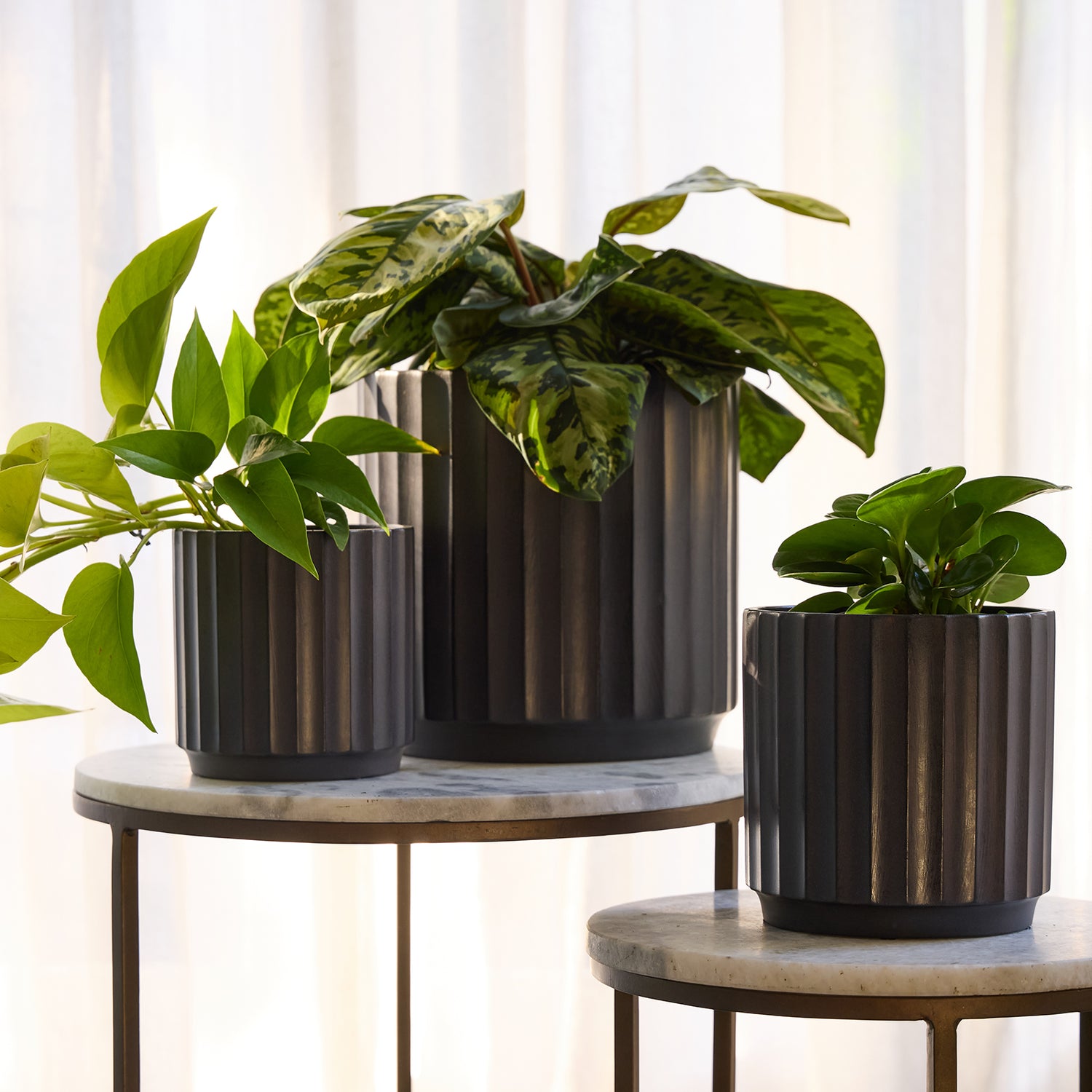 Cedar Tapered Cylinder Pot