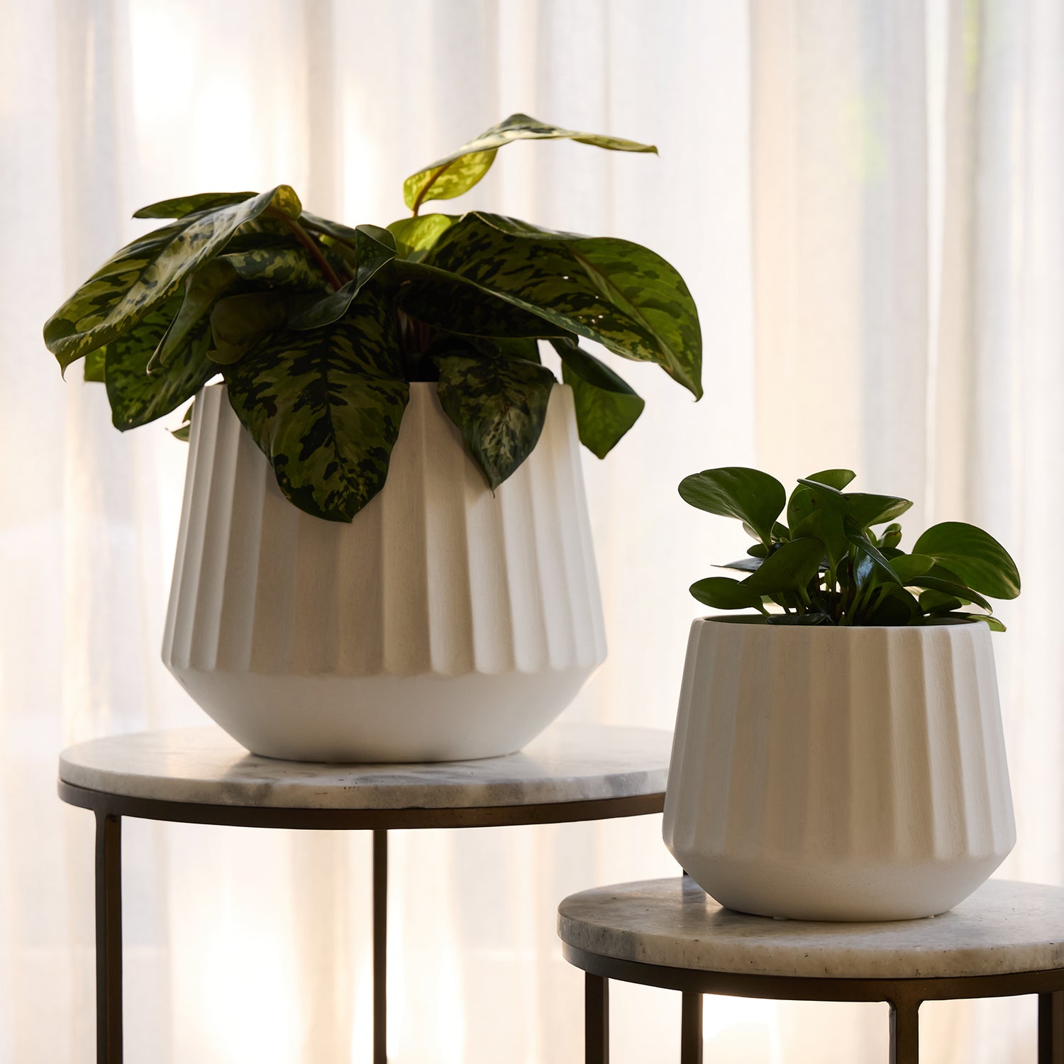 Cove Drum Pot