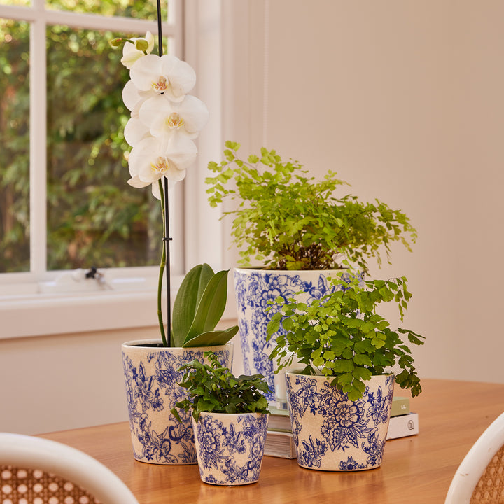 Marigold Cone Pot