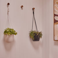 Paloma Hanging Pot