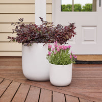 Winter Egg Pot