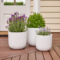 Winter Egg Pot