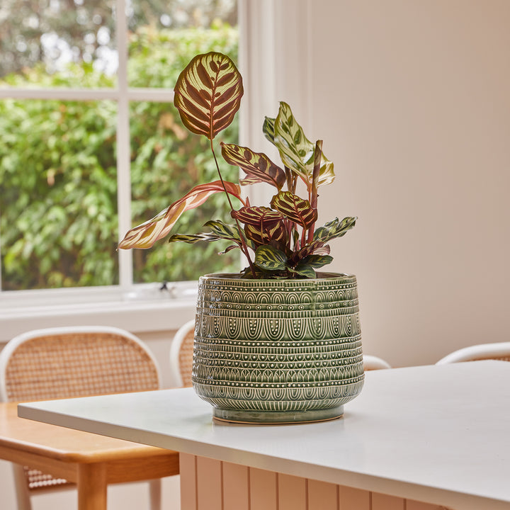 Henna Egg Pot