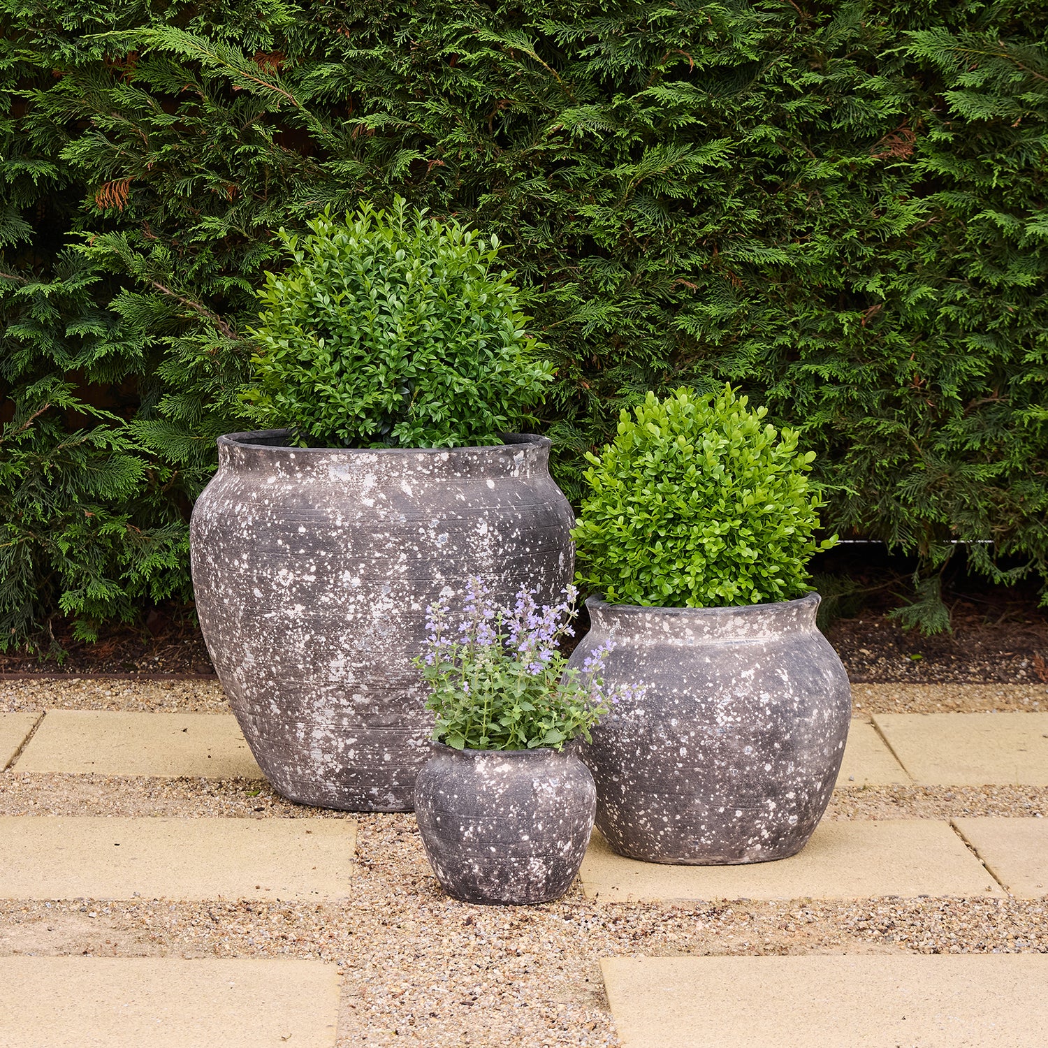Drift Belly Pot