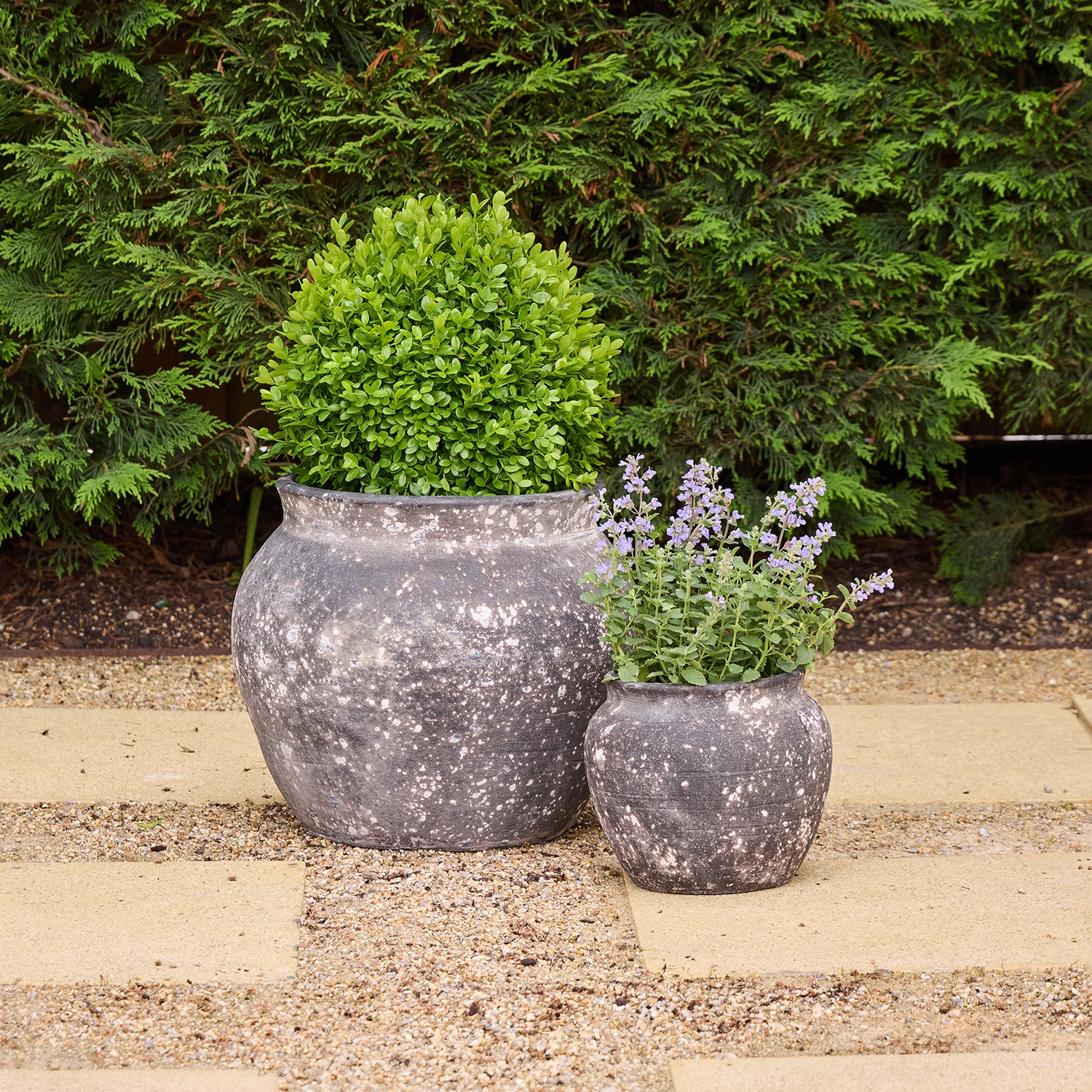 Drift Belly Pot