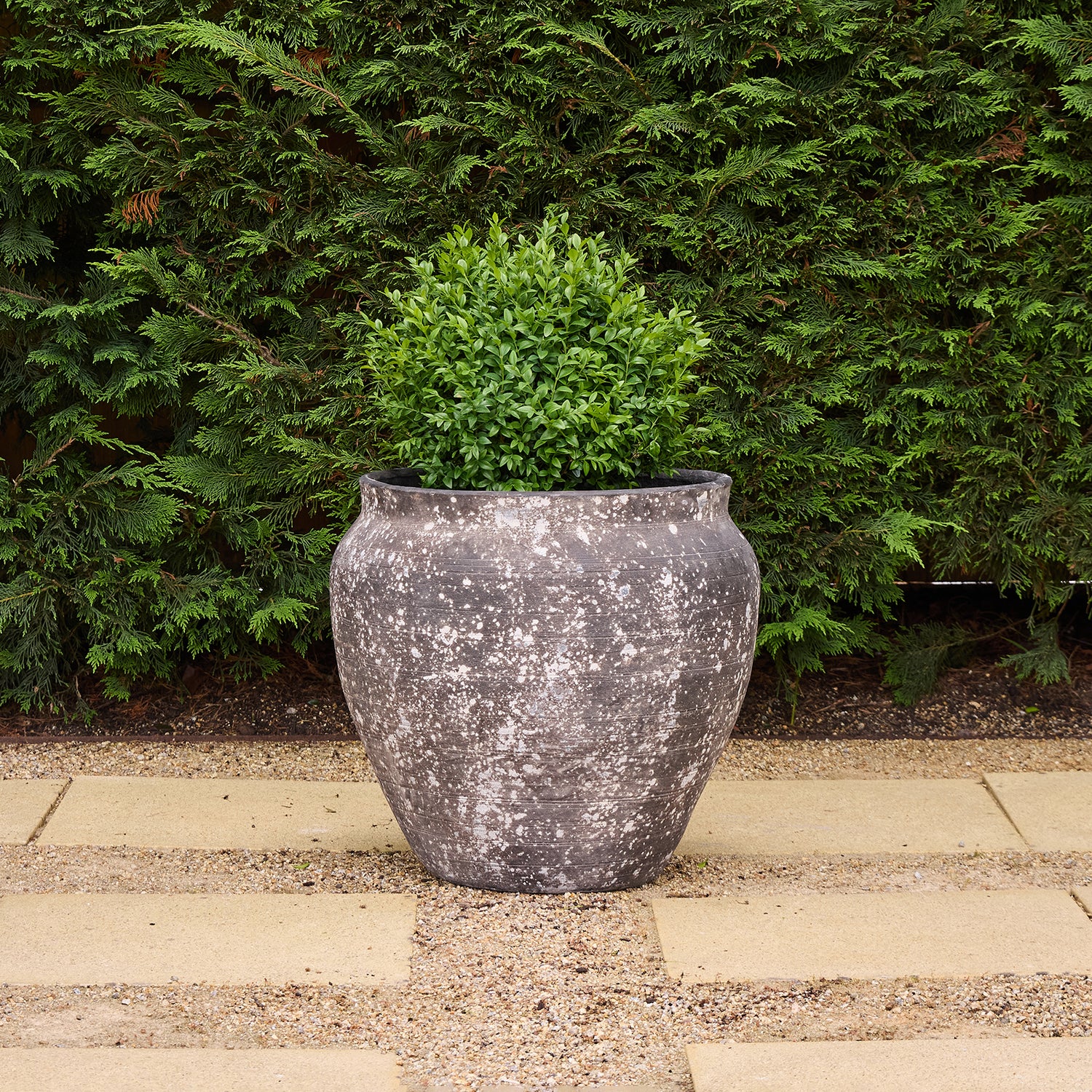 Drift Belly Pot