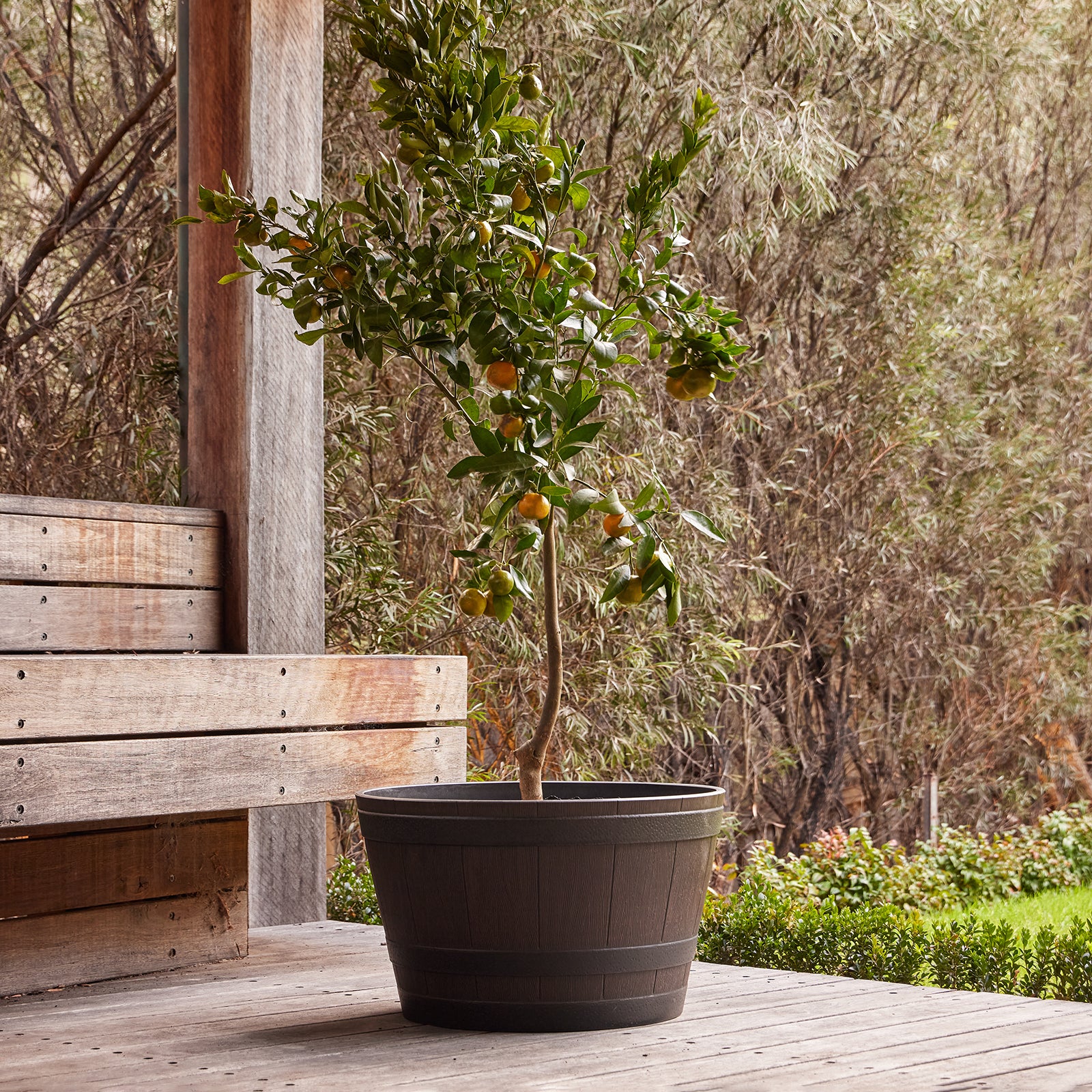 self watering wine barrel planter Whiskey Barrel Planter