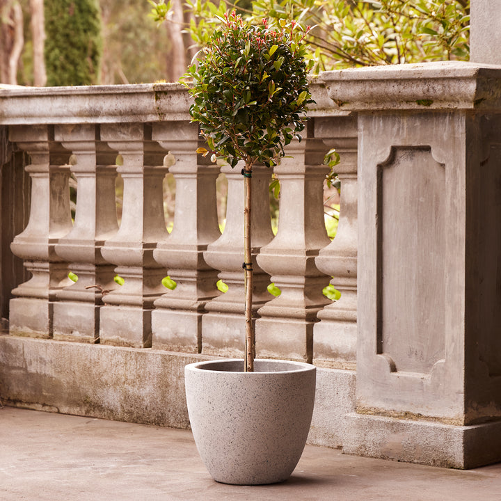 Precinct Lite Egg Pot