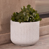 Linea Cylinder Pot