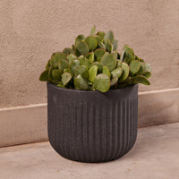 Linea Cylinder Pot