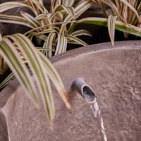 Eden Water Feature