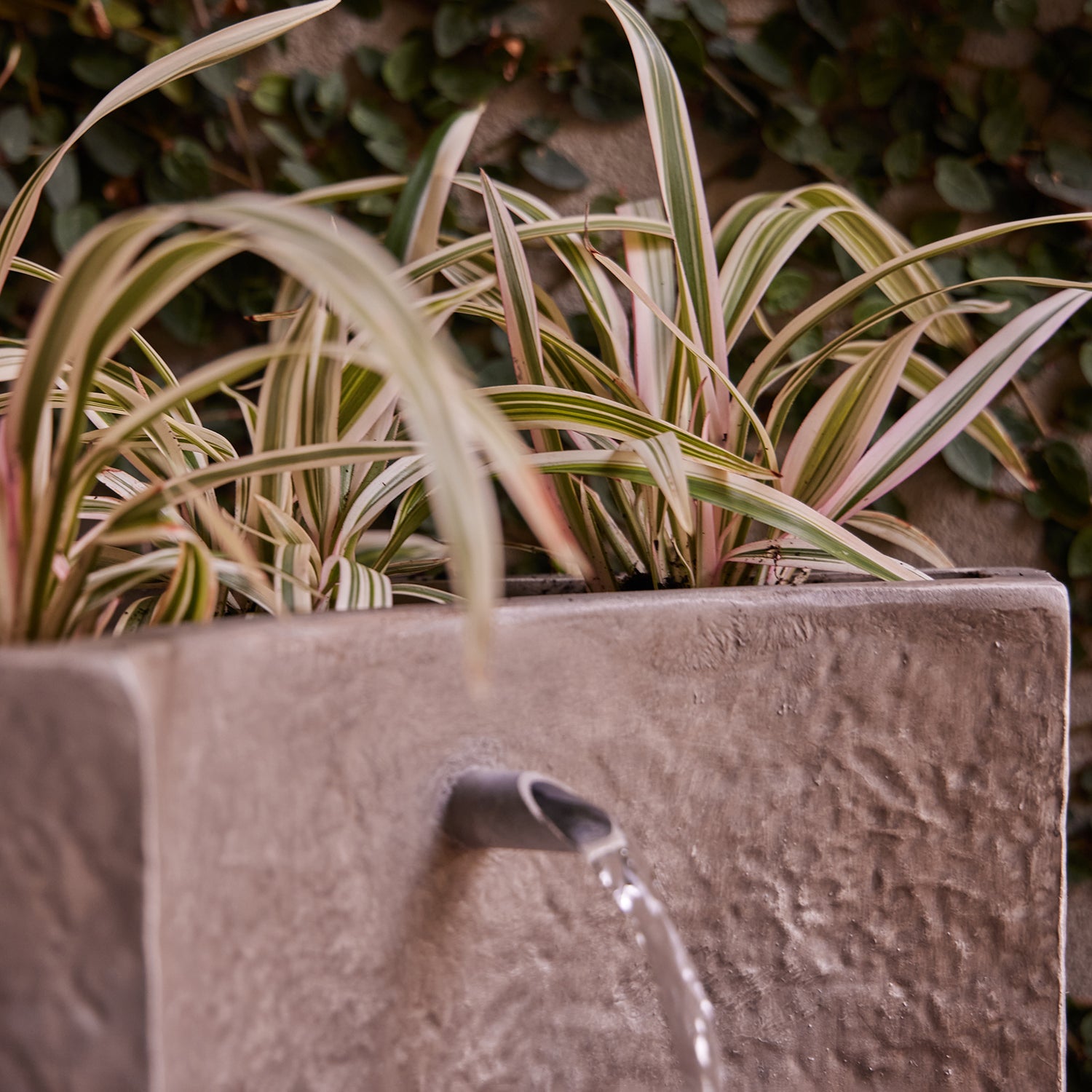 Eden Water Feature