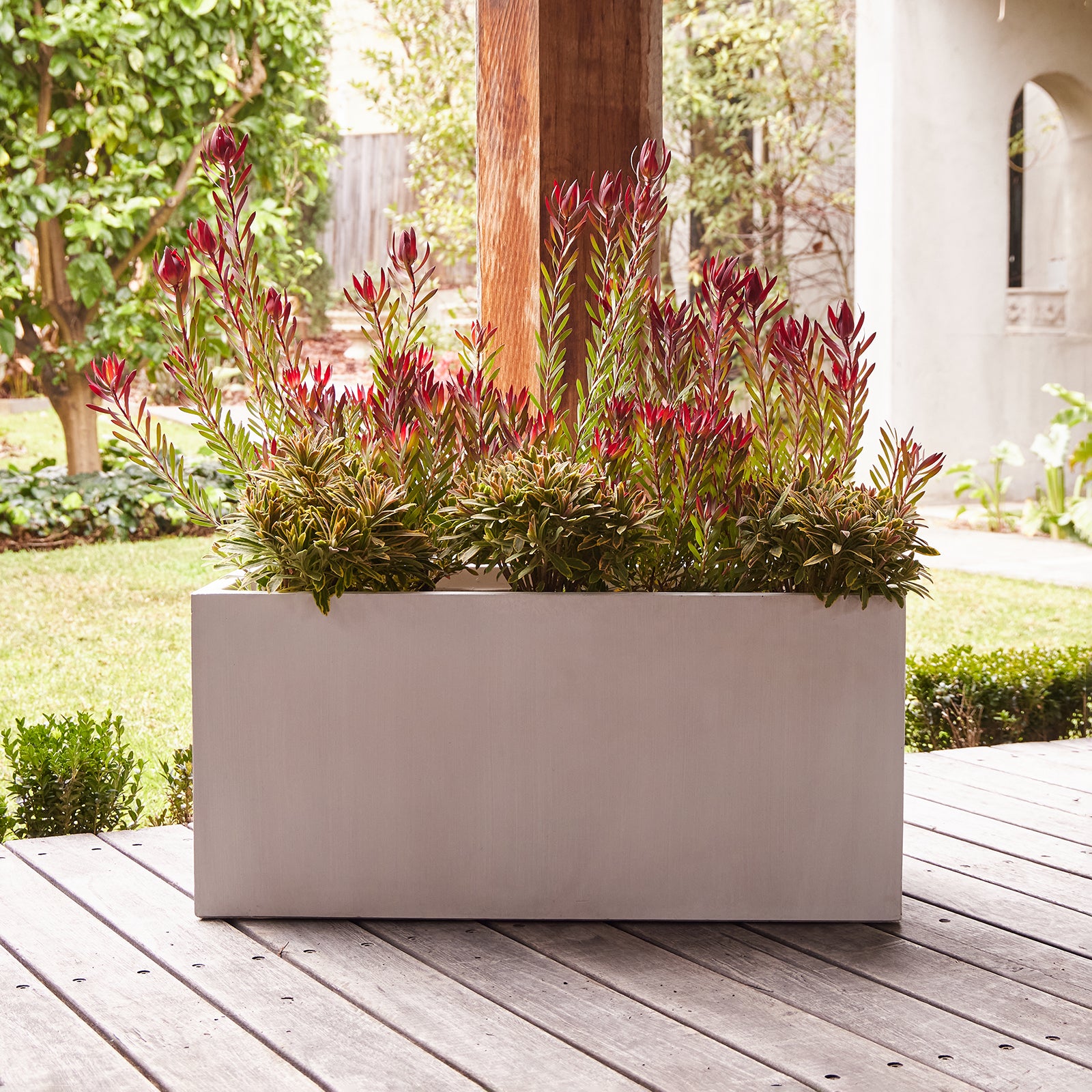 trough planter indoor Emmerson Trough Planter – Northcote Pottery