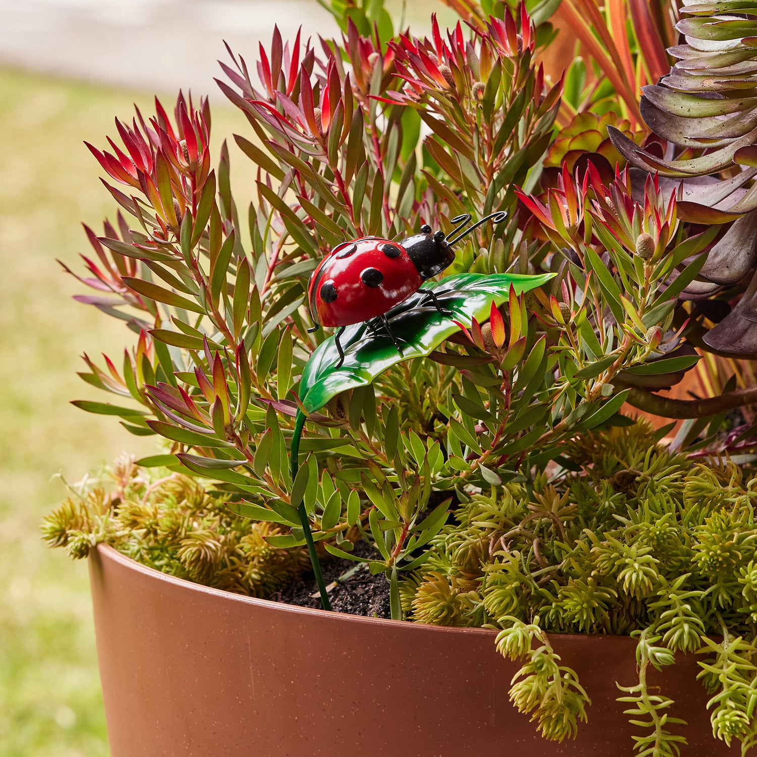 Ladybug Garden Stake