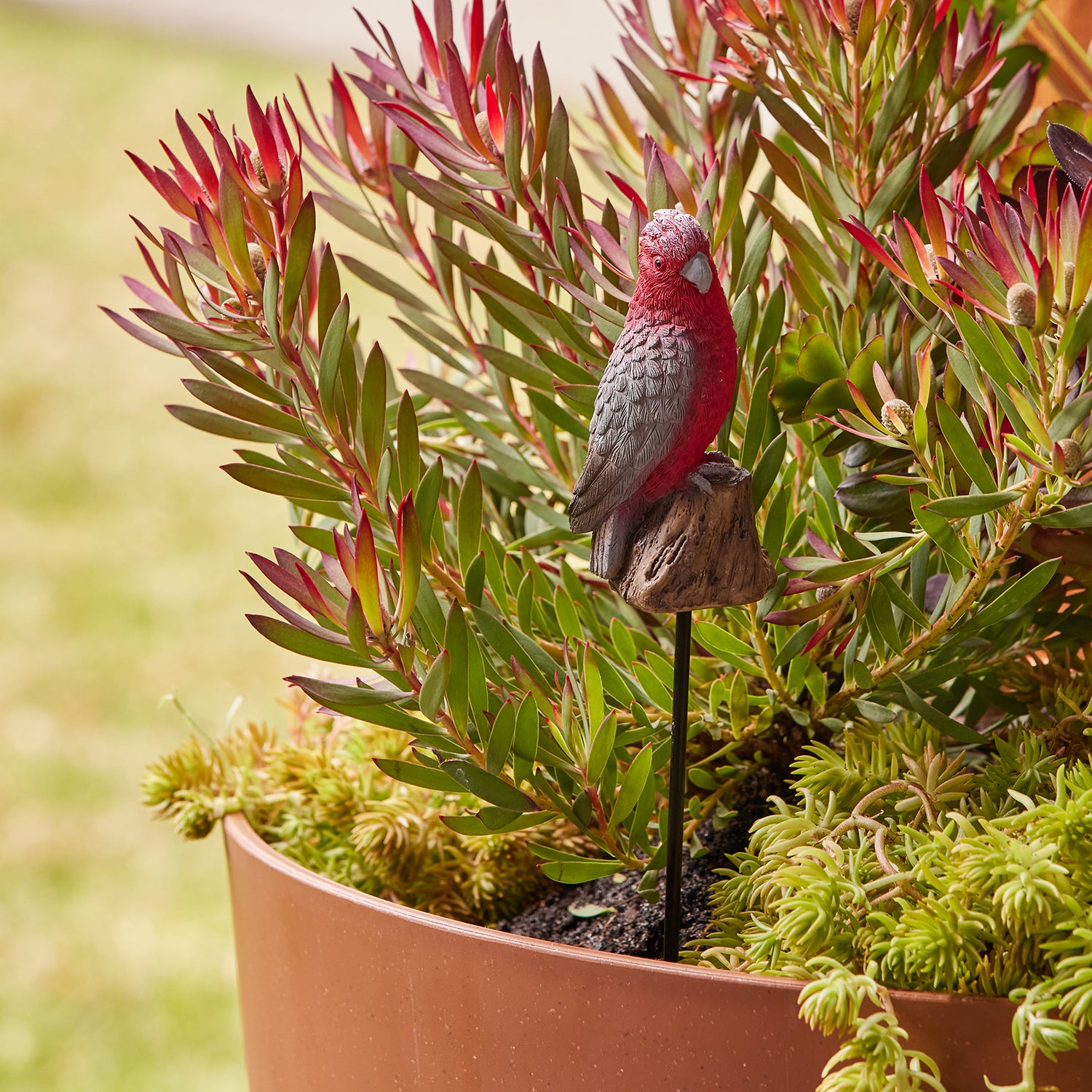 Galah Garden Stake