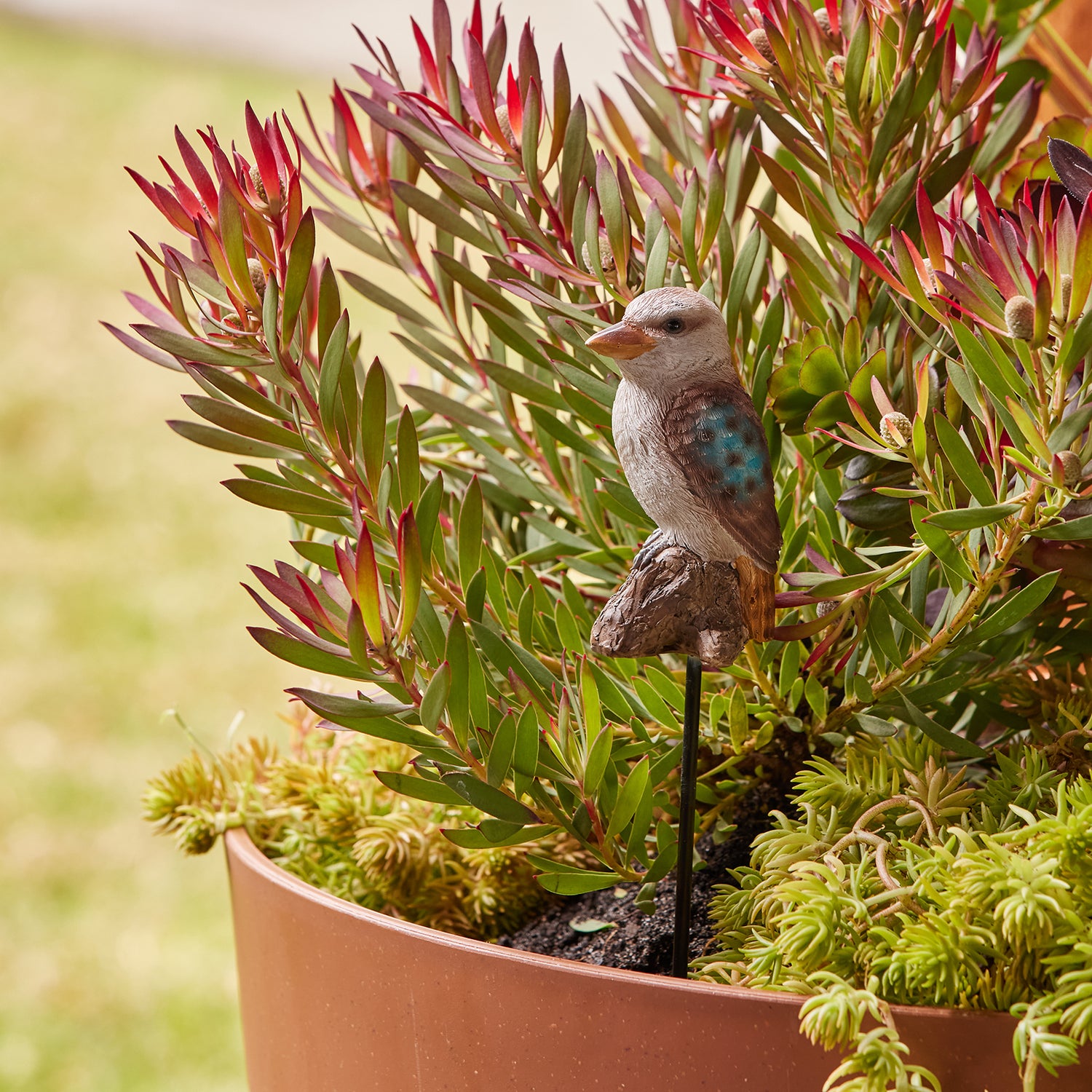 Kookaburra Garden Stake