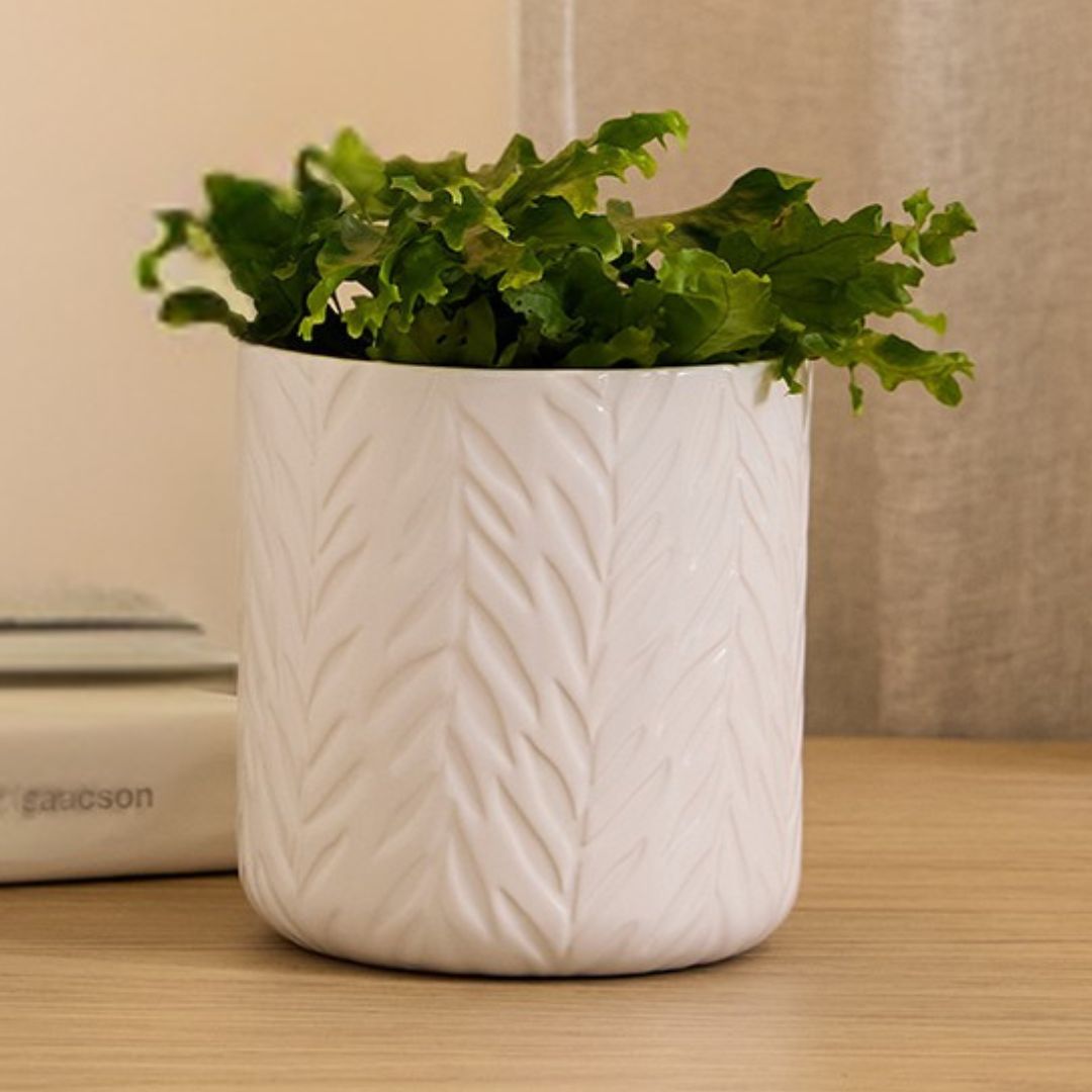 Hazel Cylinder Pot