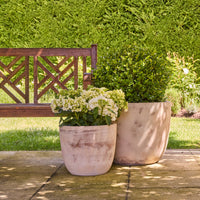 Palermo Egg Pot