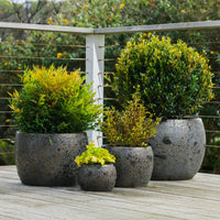 Brax Bowl Planter