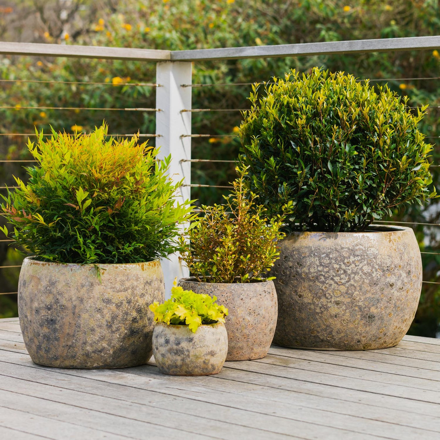 Brax Bowl Planter