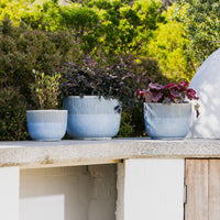 Fenn Fluted Egg Pot