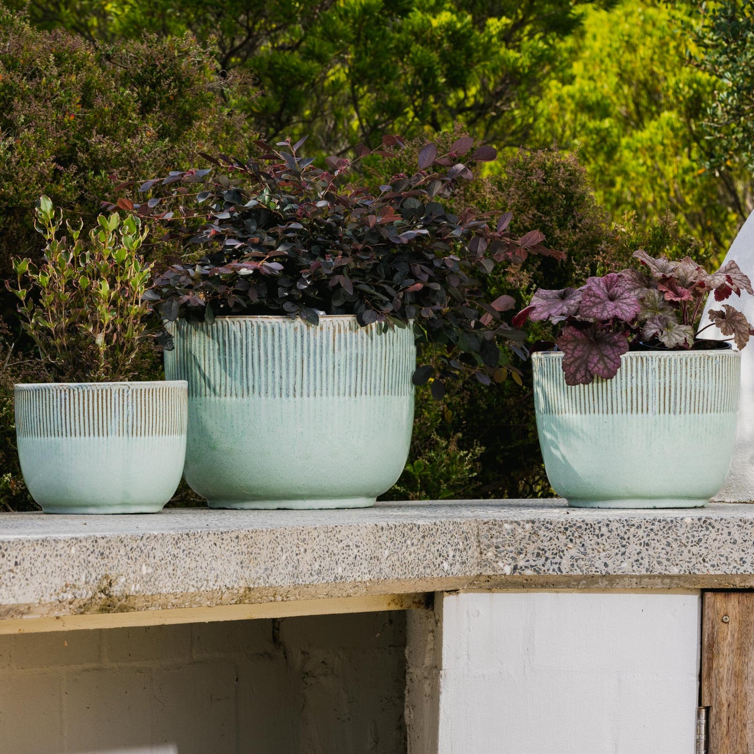 Fenn Fluted Egg Pot
