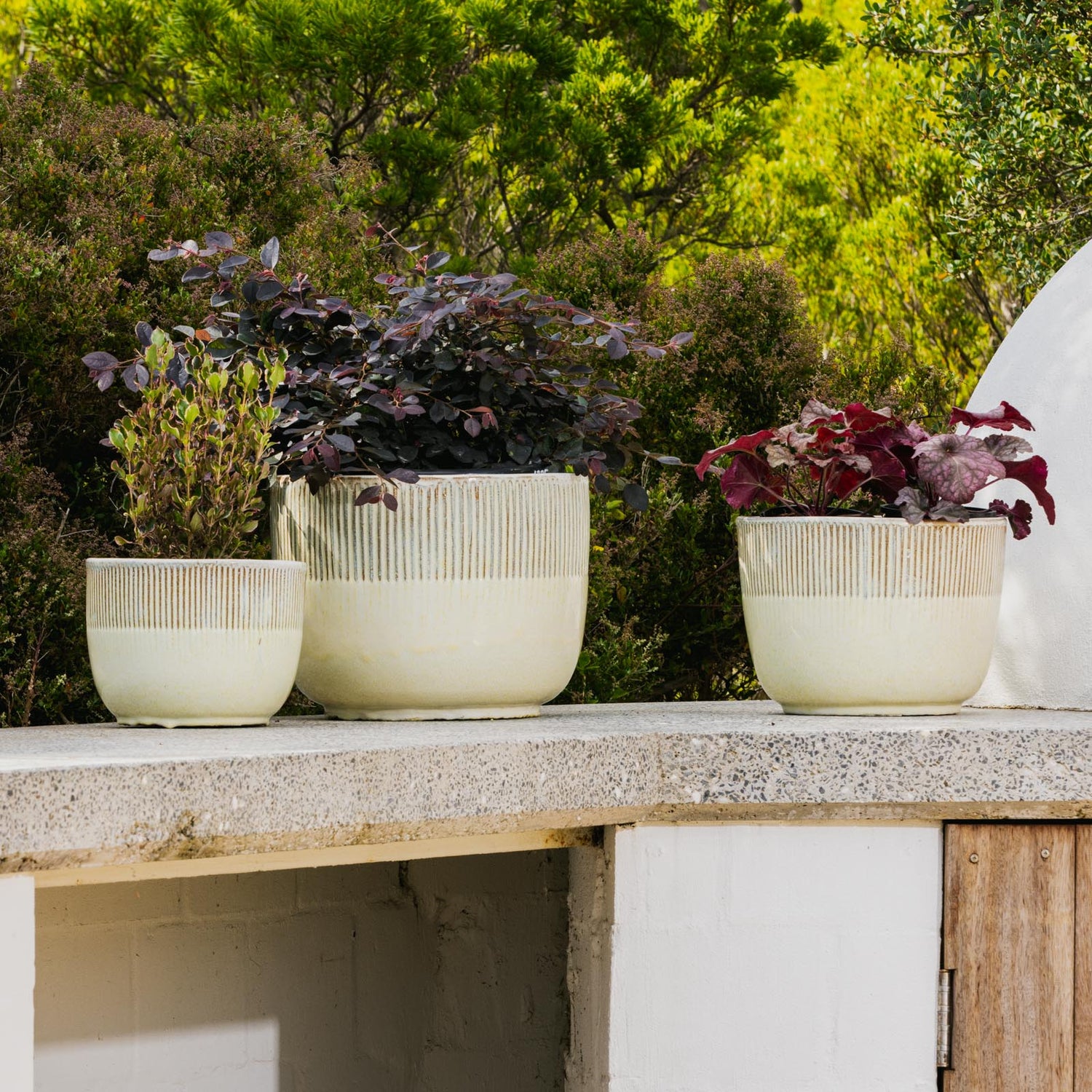 Fenn Fluted Egg Pot